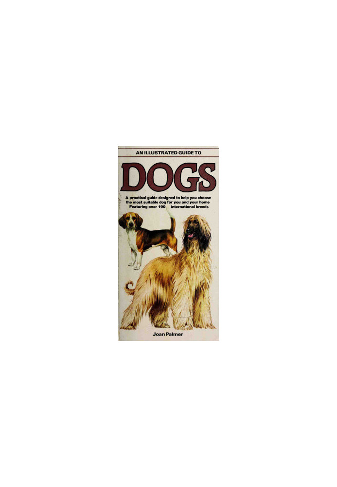 An Illustrated Guide to Dogs: A Practical Guide