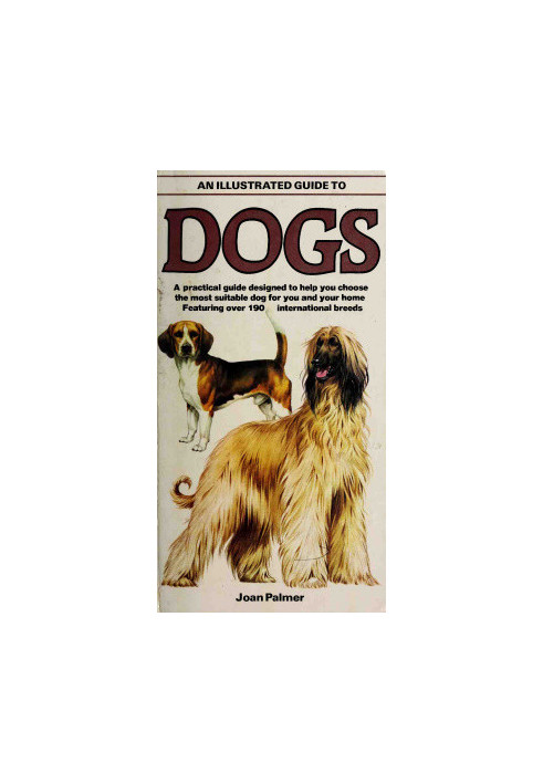 An Illustrated Guide to Dogs: A Practical Guide