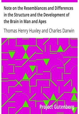 Note on the Resemblances and Differences in the Structure and the Development of the Brain in Man and Apes