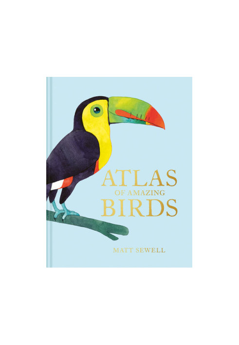 Atlas of Amazing Birds