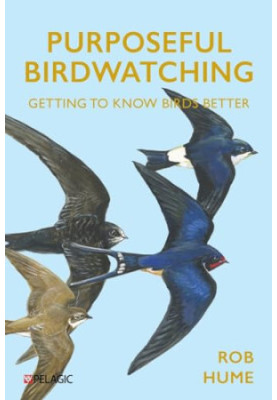 Purposeful Birdwatching: Getting to Know Birds Better