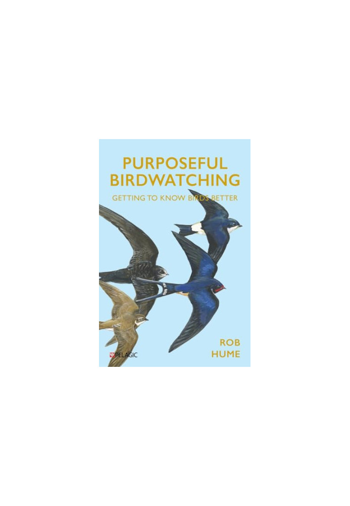 Purposeful Birdwatching: Getting to Know Birds Better
