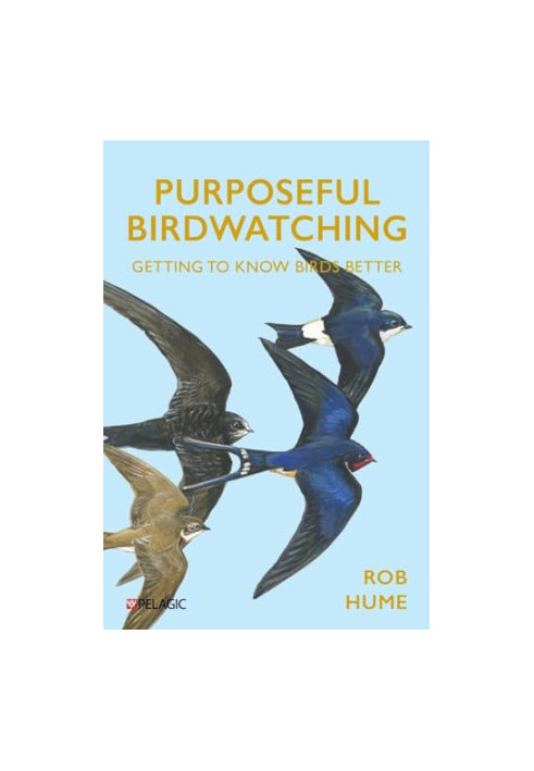 Purposeful Birdwatching: Getting to Know Birds Better