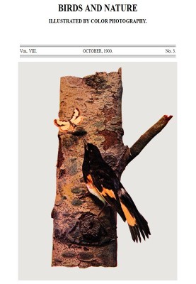 Birds and Nature Vol. 08, No. 3, October 1900 Illustrated by Color Photography