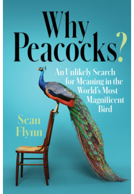 Why Peacocks?