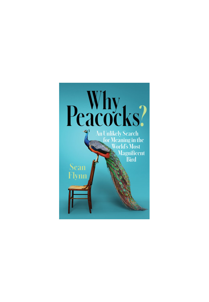 Why Peacocks?