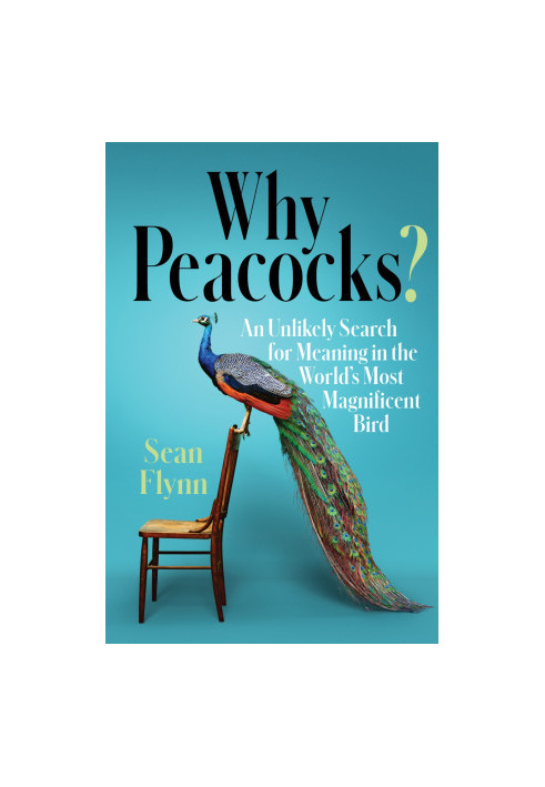 Why Peacocks?