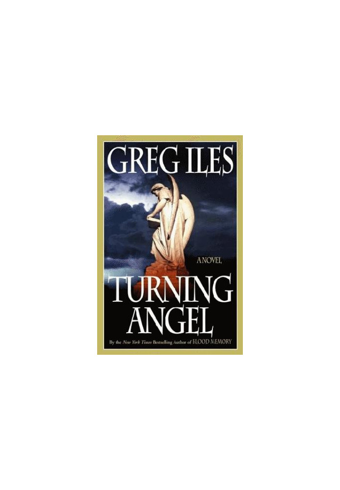 Penn Cage 02-Turning Angel