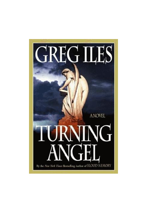 Penn Cage 02-Turning Angel