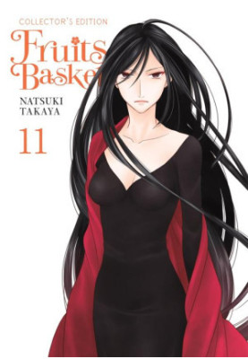 Fruits Basket Collector's Edition v11