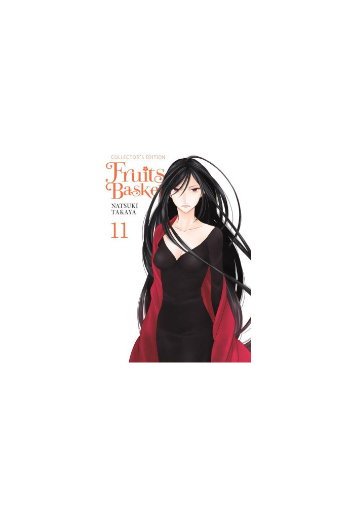 Fruits Basket Collector's Edition v11