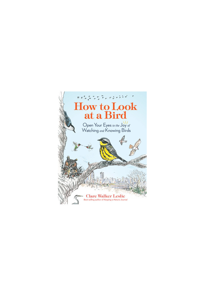 How to Look at a Bird: Open Your Eyes to the Joy of Watching and Knowing Birds