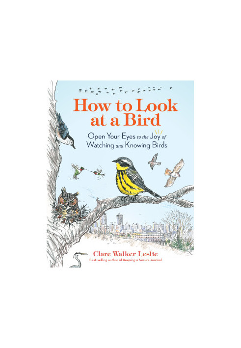 How to Look at a Bird: Open Your Eyes to the Joy of Watching and Knowing Birds