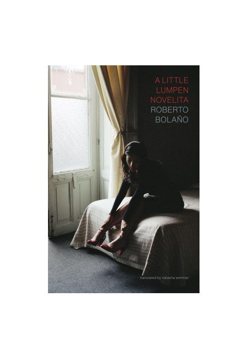 A Little Lumpen Novelita - (a novel)