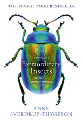 Extraordinary Insects