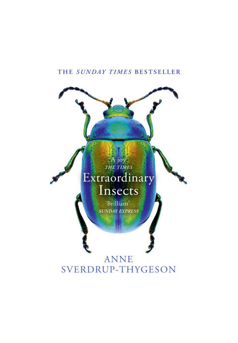 Extraordinary Insects