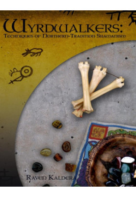 Wyrdwalkers: Techniques of Northern-Tradition Shamanism