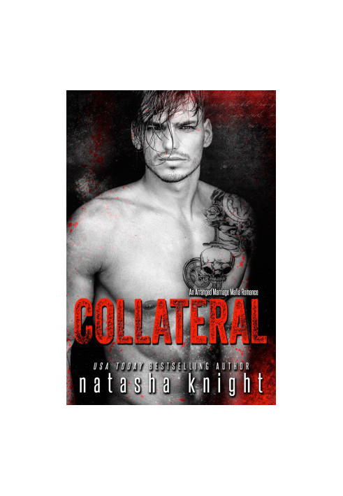 [Collateral Damage 01] • Collateral