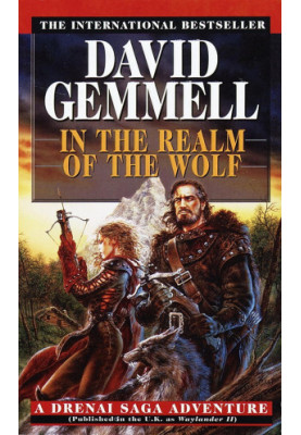 In the Realm of the Wolf (Waylander 2)