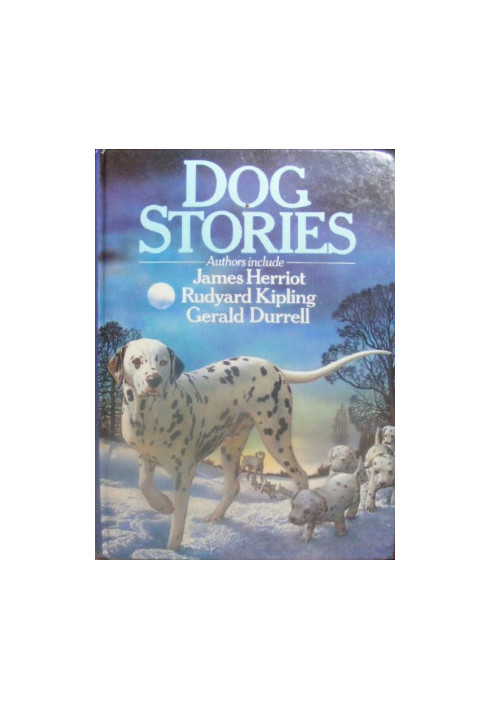 Dog stories