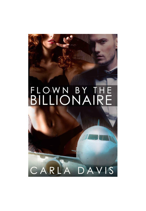 Flown By The Billionaire I, II, & III