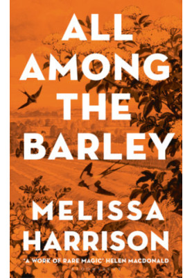 All Among the Barley
