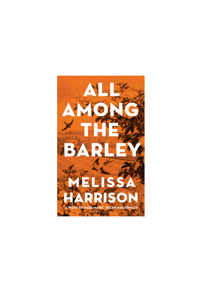 All Among the Barley