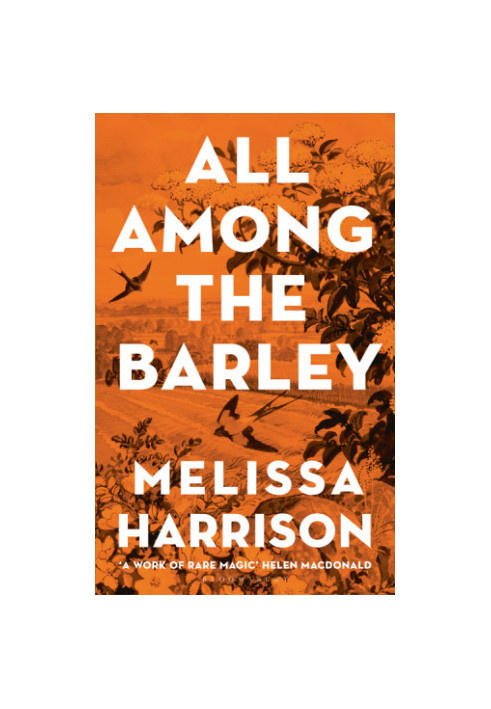 All Among the Barley