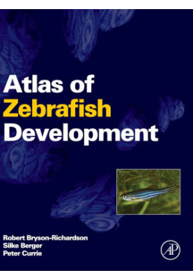 Atlas of Zebrafish Development,Bryson-Richardson, Robert,Elsevier Science & Technology