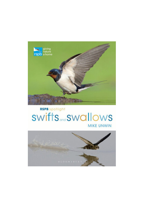 RSPB Spotlight Swifts and Swallows