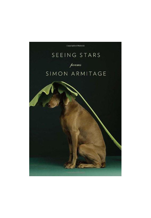 Seeing Stars