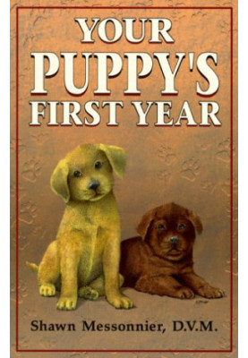 Your Puppy's First Year