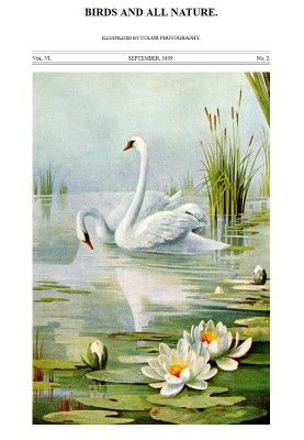 Birds and All Nature, Vol. 6, No. 2, September 1899 Illustrated by Color Photography