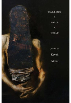 Calling a Wolf a Wolf