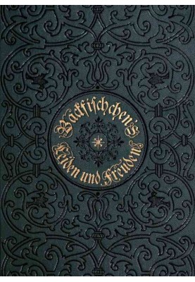 Backfischchen's sufferings and joys: A story for young girls