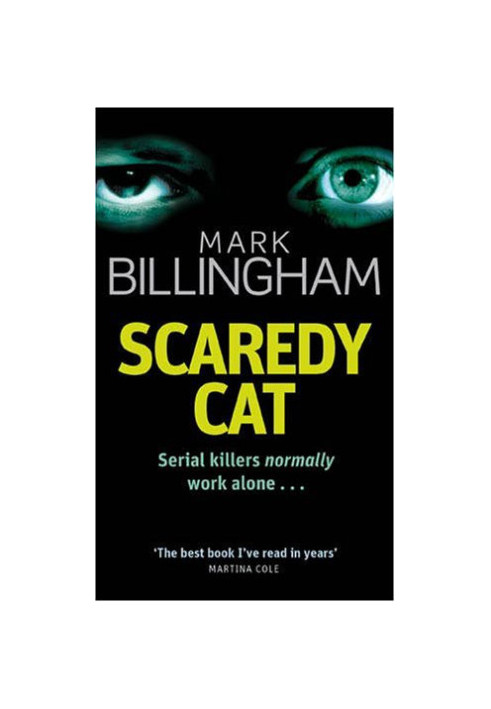 Scaredy Cat