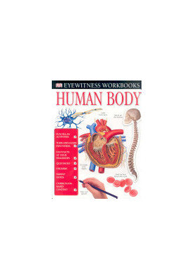 Eyewitness Workbooks Human Body