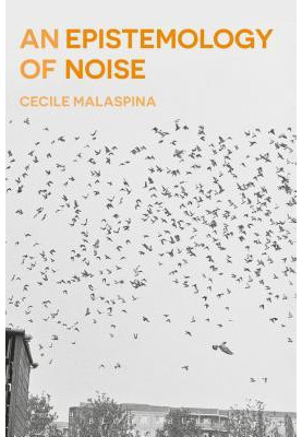An Epistemology of Noise