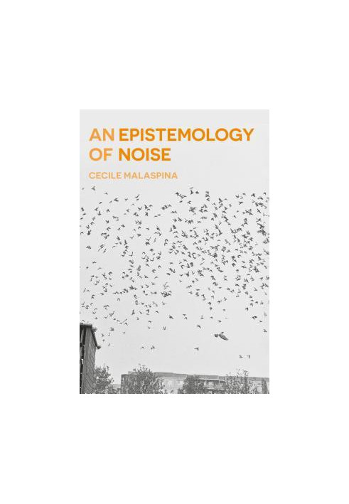 An Epistemology of Noise