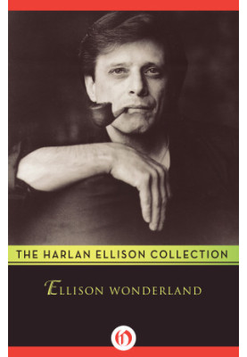 Ellison Wonderland