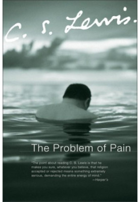 The Problem of Pain