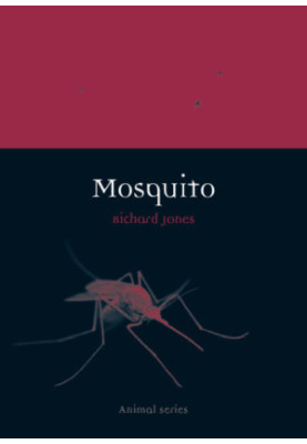 Mosquito