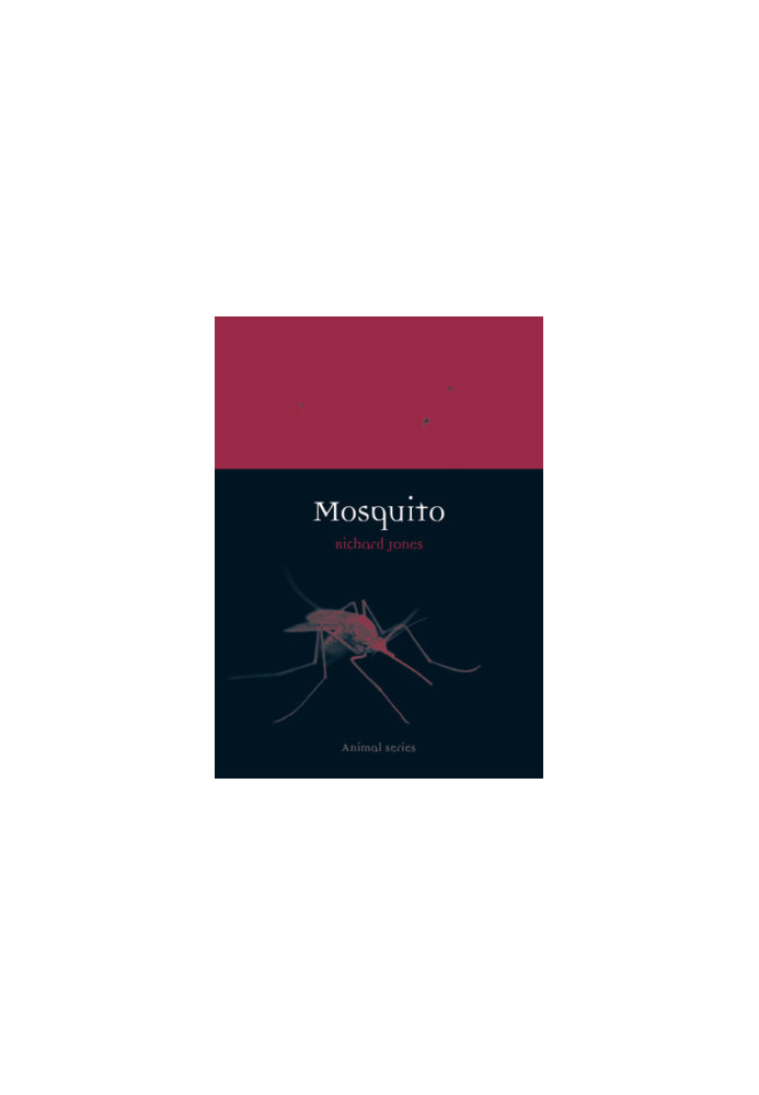 Mosquito