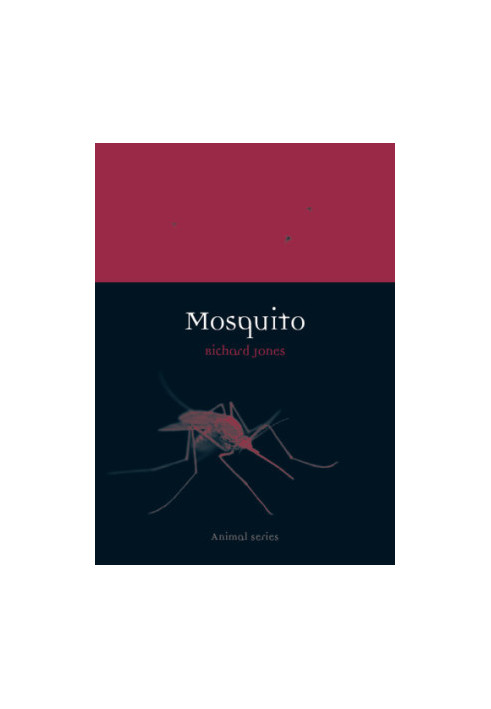 Mosquito