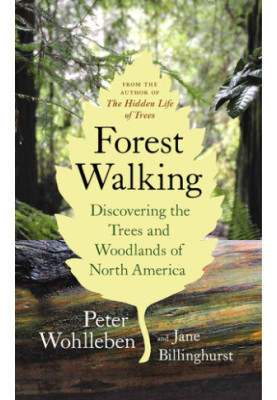 Forest Walking: Discovering the Trees and Woodlands of North America