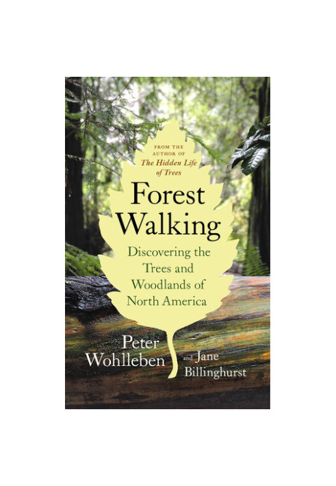 Forest Walking: Discovering the Trees and Woodlands of North America