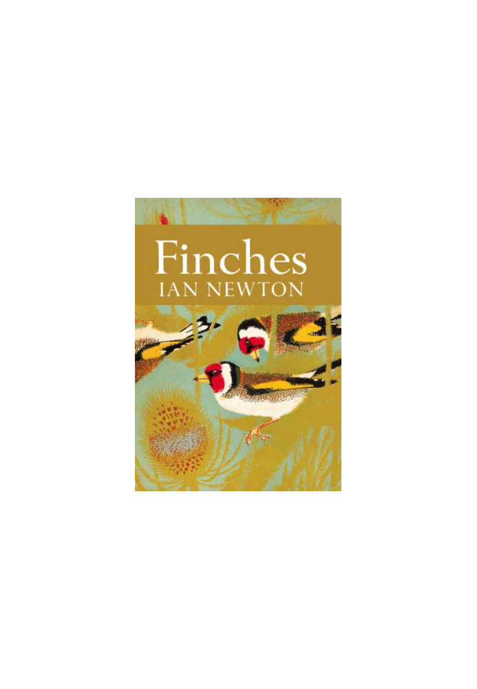 Finches