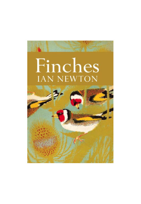 Finches
