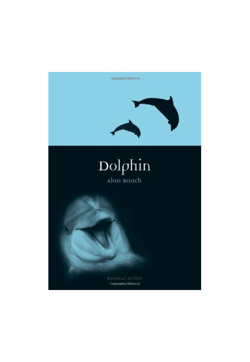 Dolphin