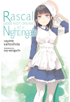 Rascal Does Not Dream of a Nightingale, Vol. 11